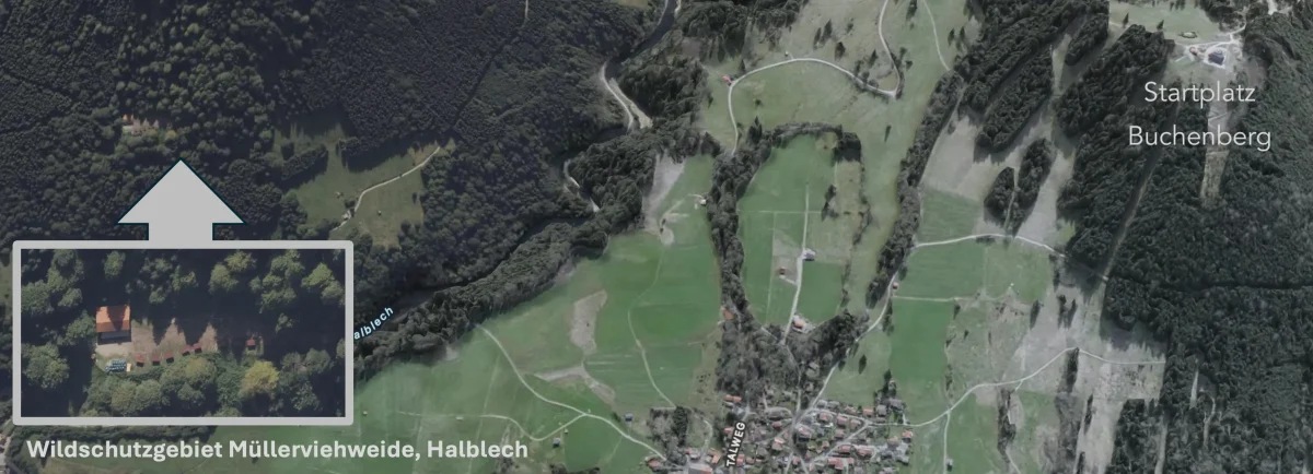 Rotwild-Fütterungsanlage Trauchgau